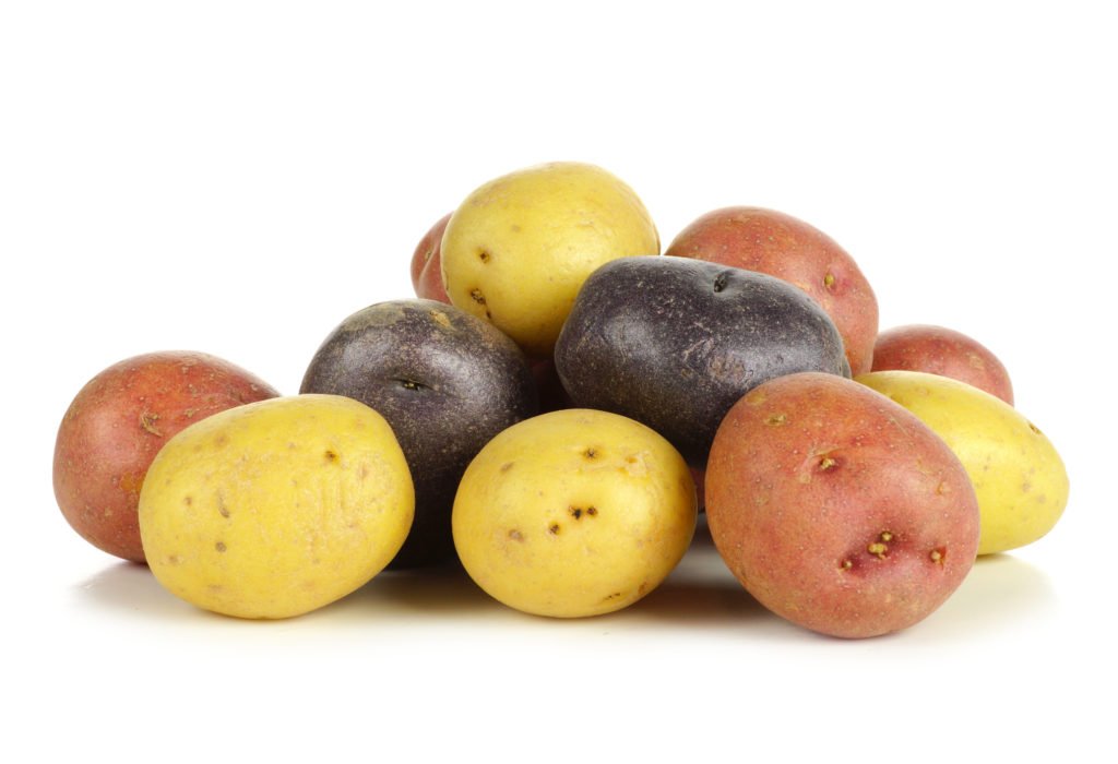 Pile of colorful little potatoes over white