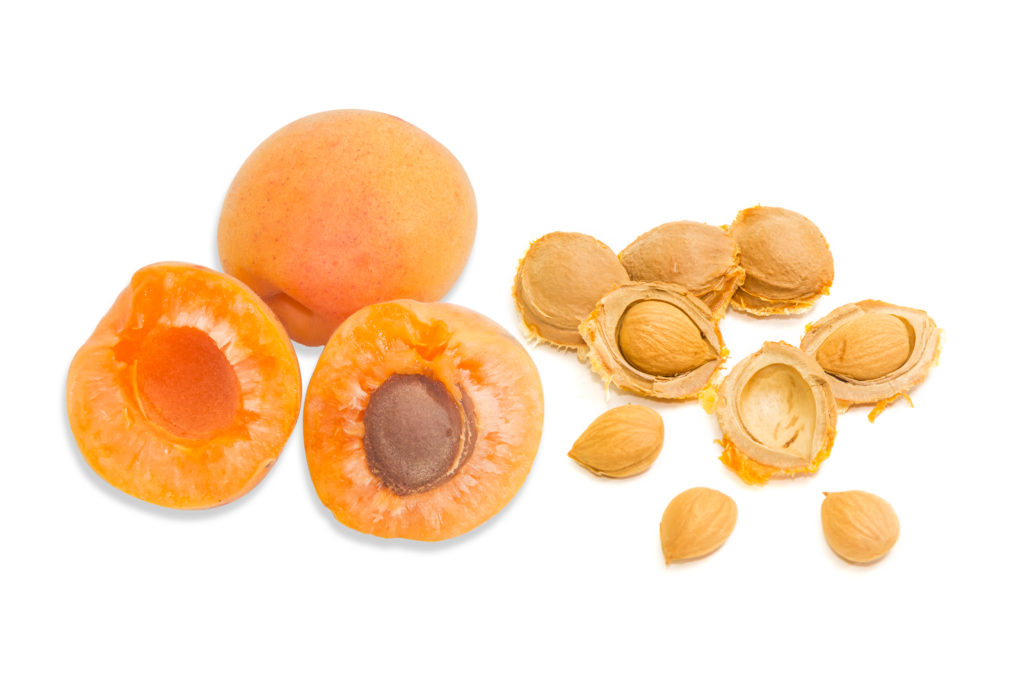 Ripe apricot and an apricot kernels closeup