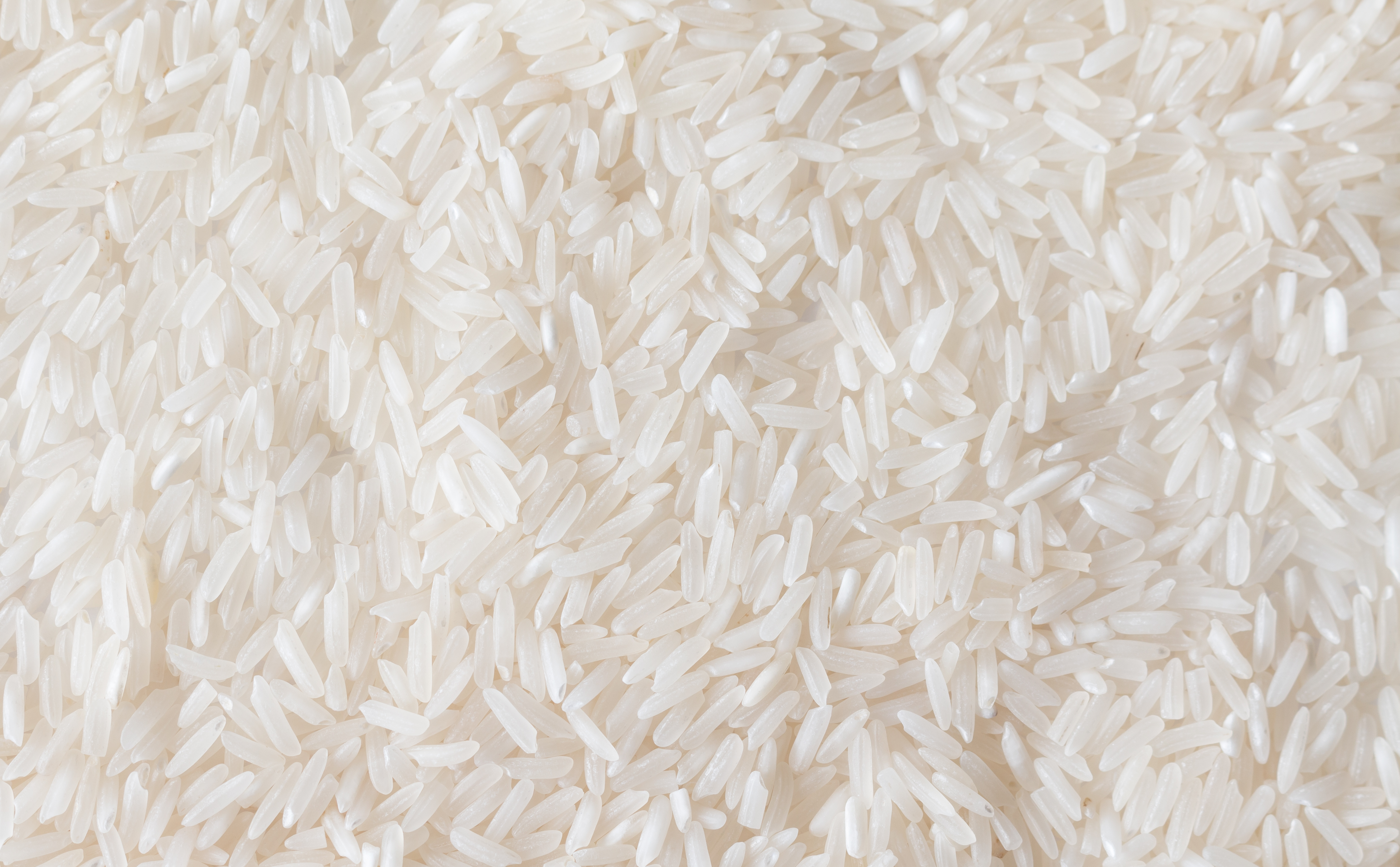 Is Arsenic In Rice Poisoning Your Baby? Natural Toxins! - Food ... Is Arsenic In Rice Poisoning Your Baby? Natural Toxins! - Food ...