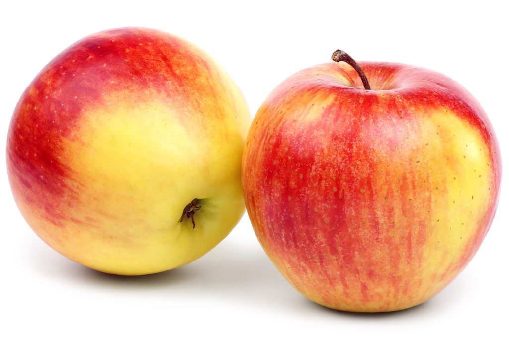 Two ripe red-yellow apples.