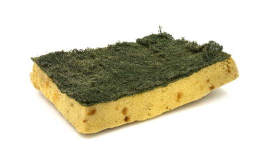 Dirty Sponge