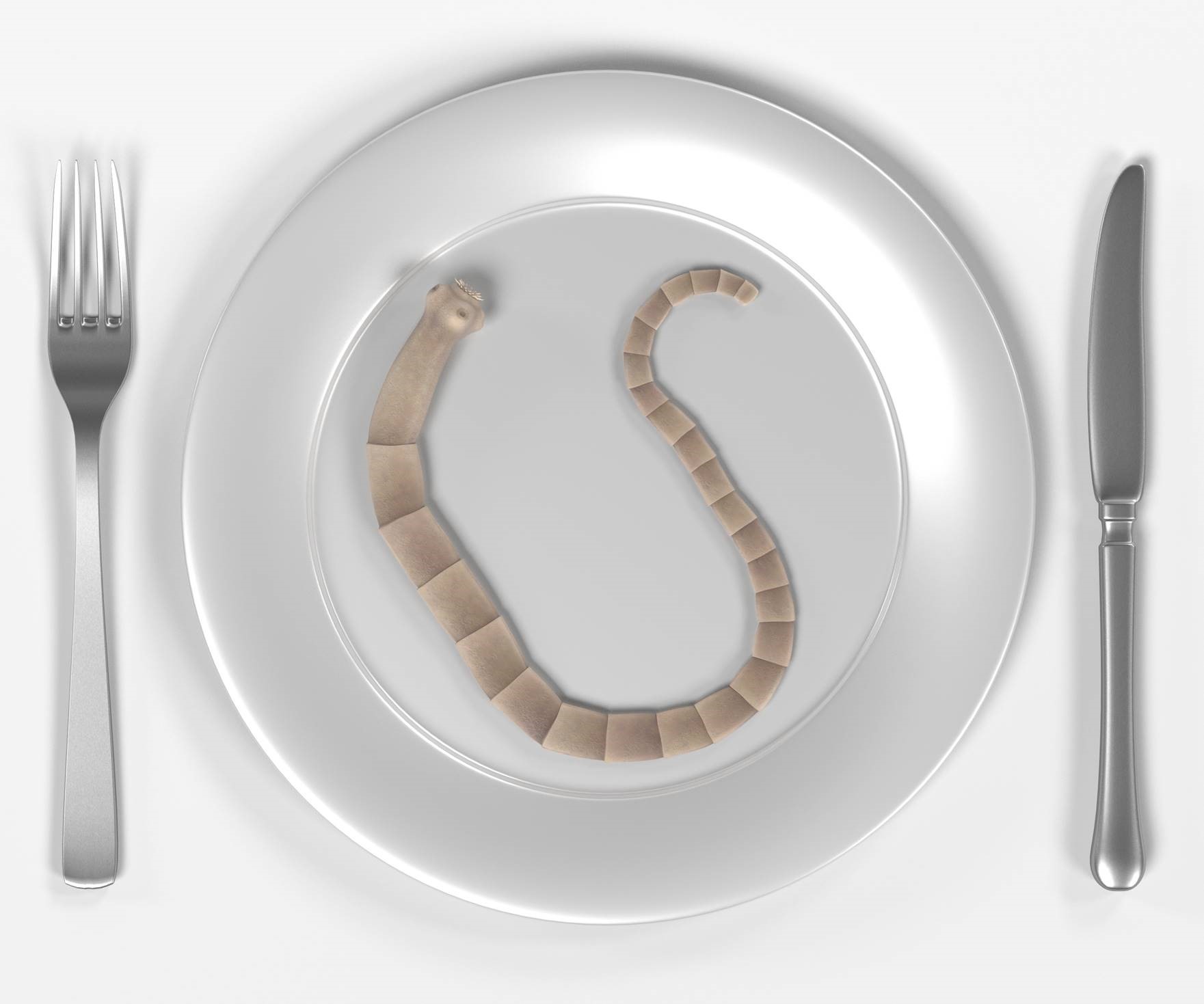 tapeworm on a plate