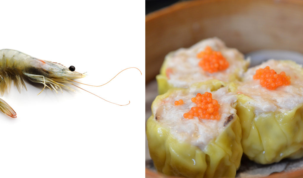 Cellular-shrimp
