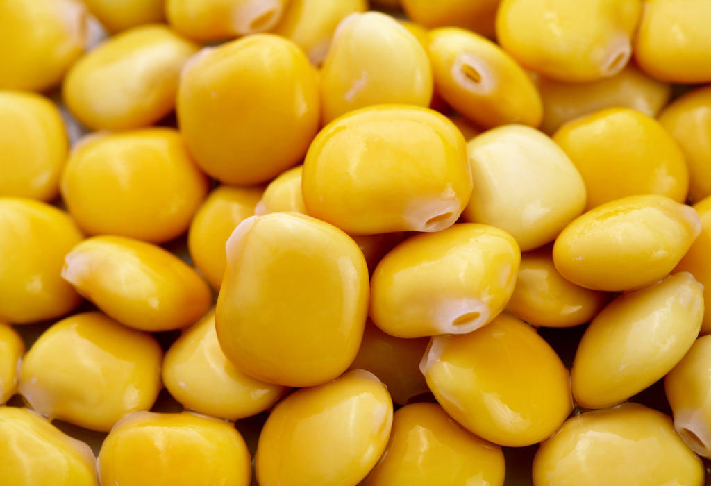 yellow_lupini_beans